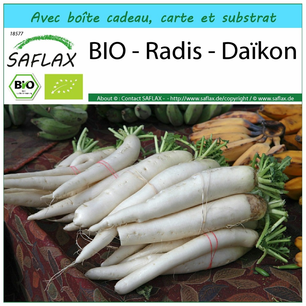 Ensemble-cadeau - bio - radis - daïkon - 100 graines - raphanus sativus