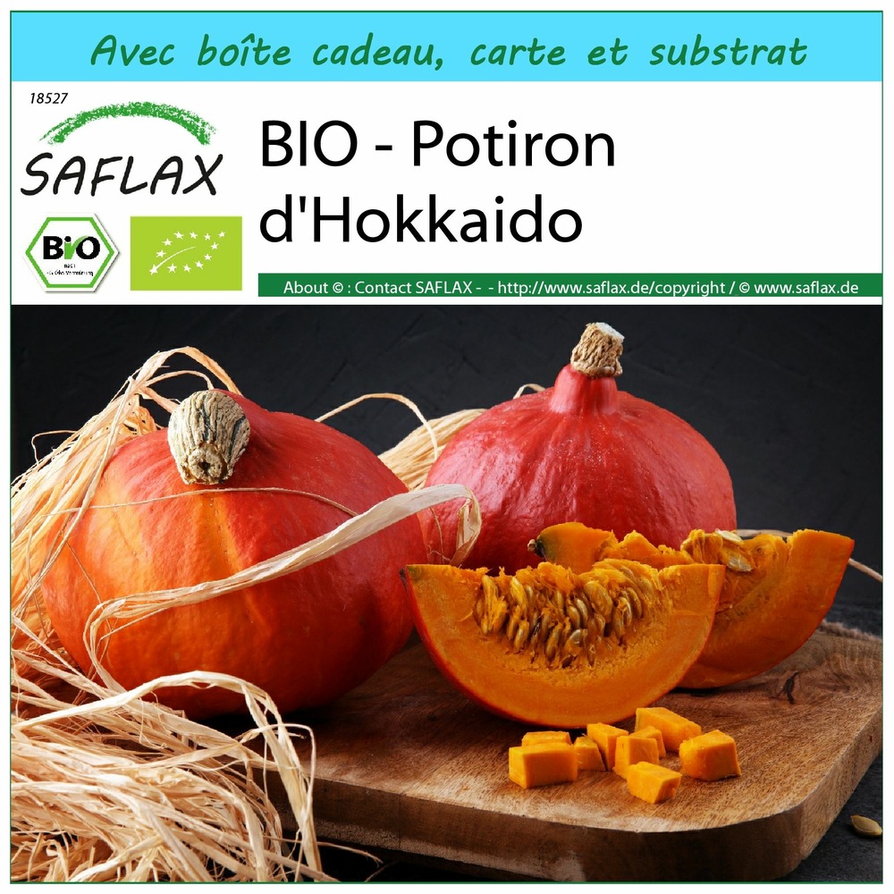 Ensemble-cadeau - bio - potiron d'hokkaido - 5 graines - cucurbita maxima