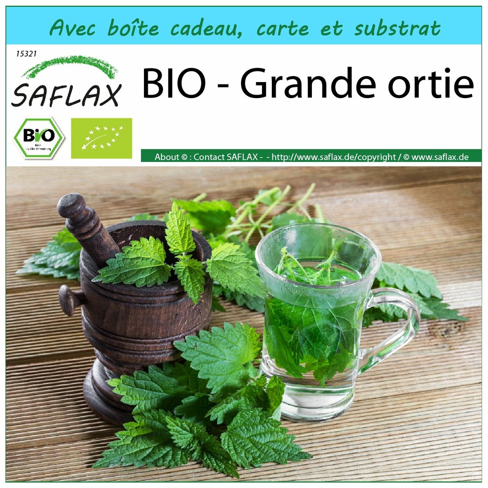 Ensemble-cadeau - bio - grande ortie - 2000 graines - urtica dioica