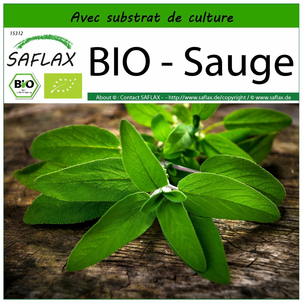 Bio - sauge - 60 graines - avec substrat - salvia officinalis