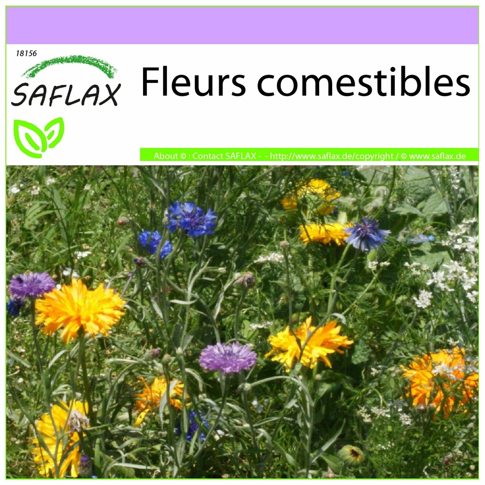 Fleurs comestibles - 1000 graines - mix
