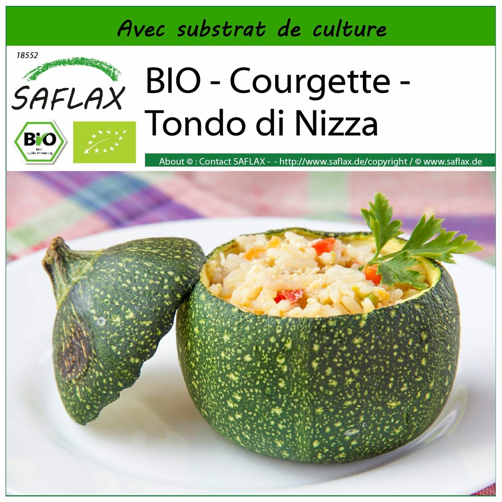 Bio - courgette - tondo di nizza - 5 graines - avec substrat - cucurbita pepo