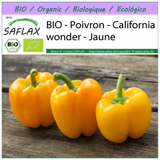 Bio - poivron - california wonder - jaune - 20 graines - capsicum annuum