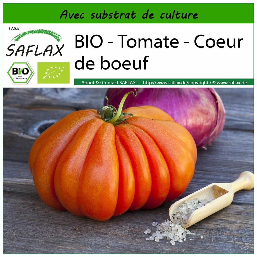 Bio - tomate - coeur de boeuf - 10 graines - avec substrat - solanum lycopersicum