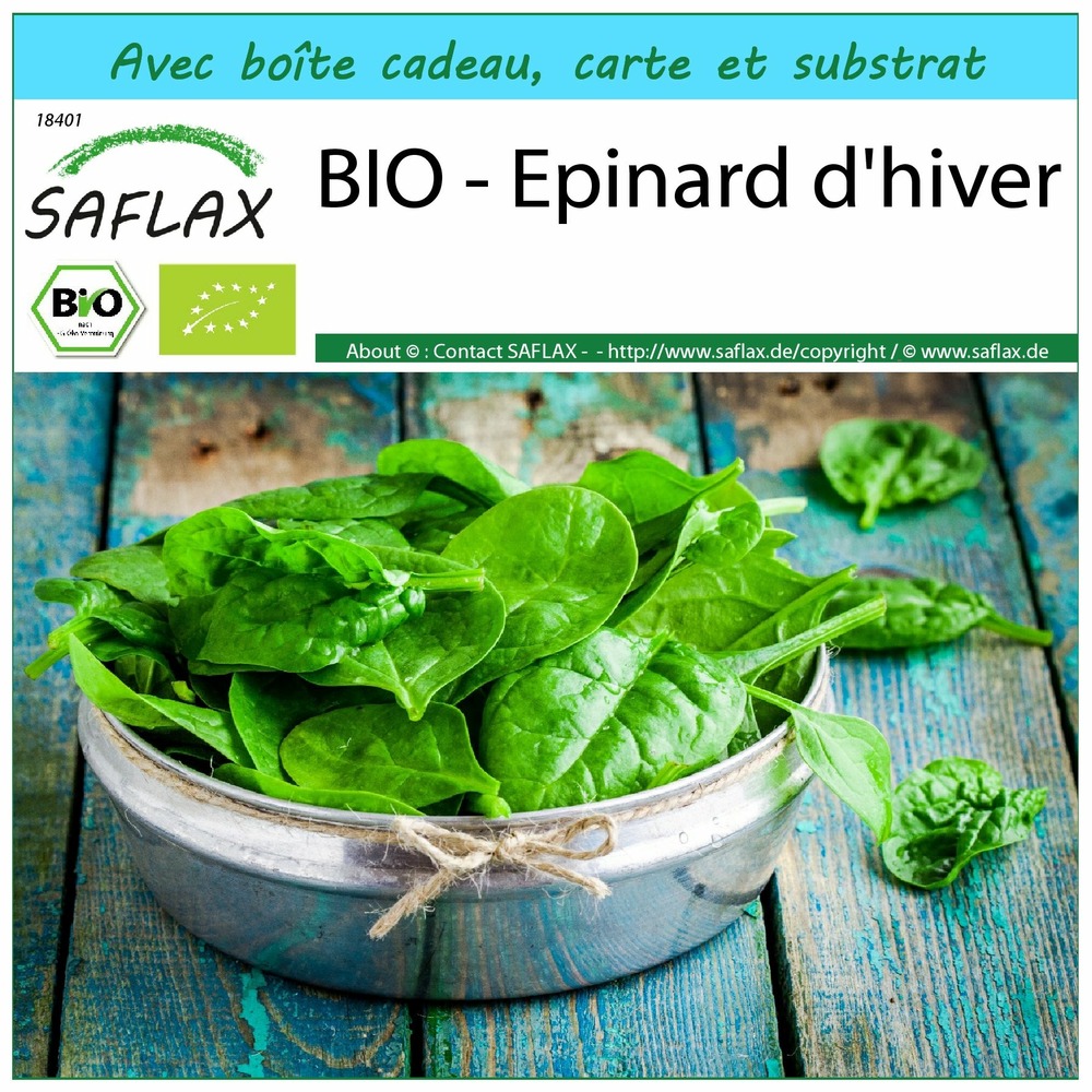 Ensemble-cadeau - bio - epinard d'hiver - 250 graines - spinacia oleracea