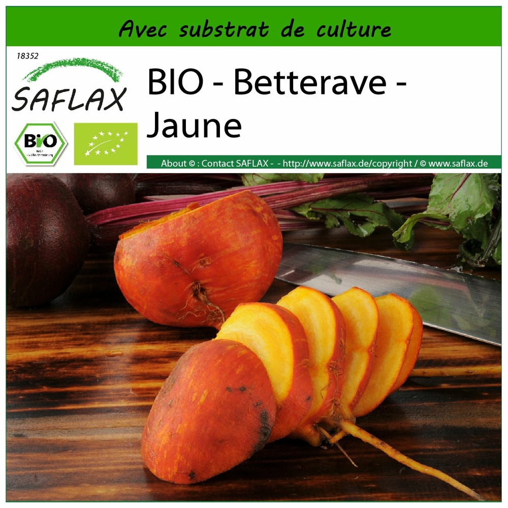 Bio - betterave - jaune - 50 graines - avec substrat - beta vulgaris