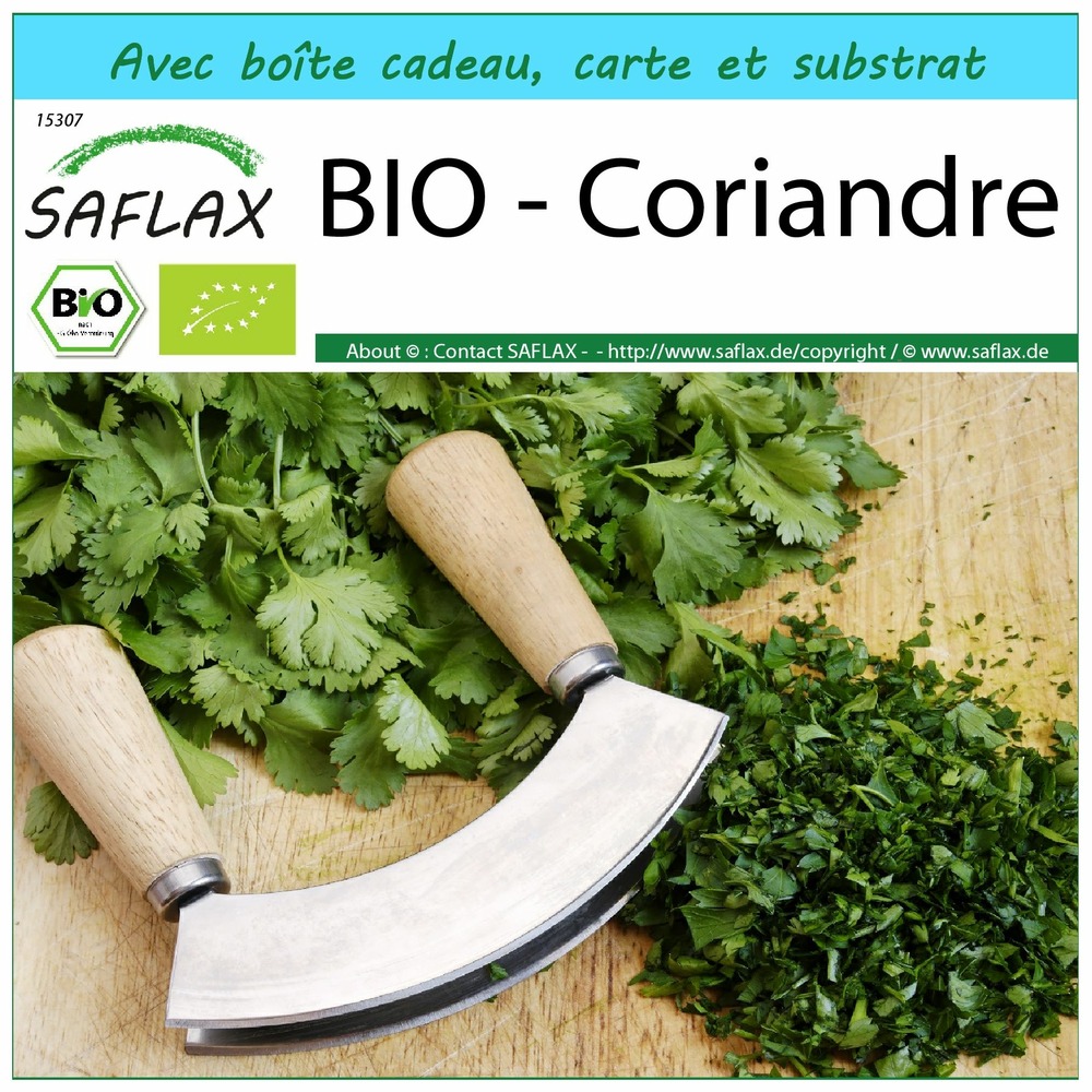 Ensemble-cadeau - bio - coriandre - 150 graines - coriandrum sativum