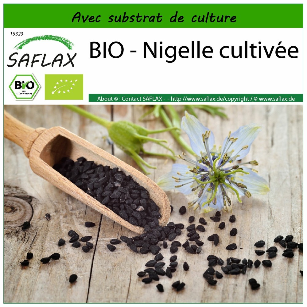 Bio - nigelle cultivée - 300 graines - avec substrat - nigella sativa