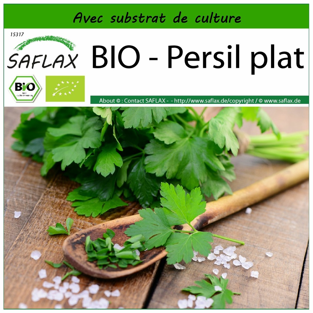 Bio - persil plat - 600 graines - avec substrat - petroselinum crispum