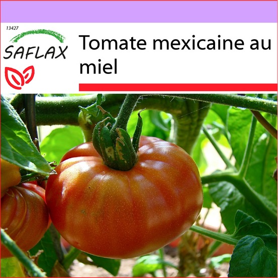 Tomate mexicaine au miel - 10 graines - lycopersicon esculentum