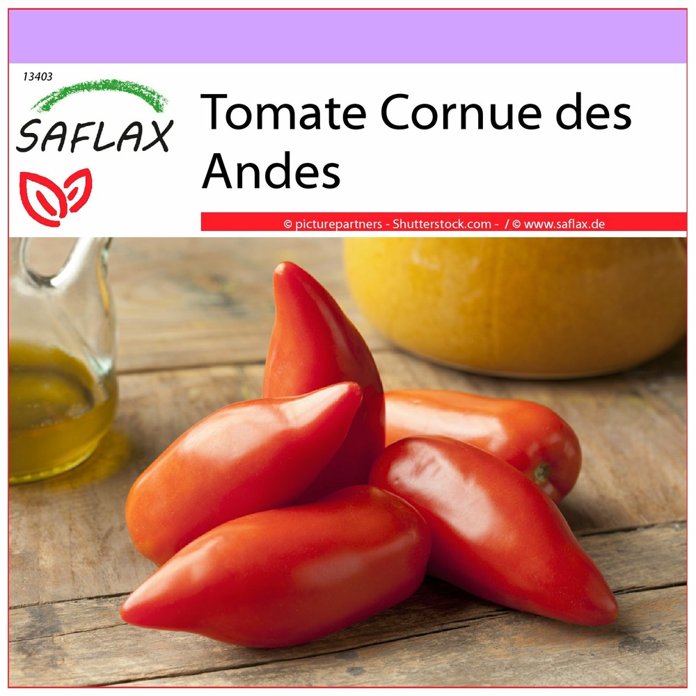 Tomate cornue des andes - 10 graines - lycopersicon esculentum