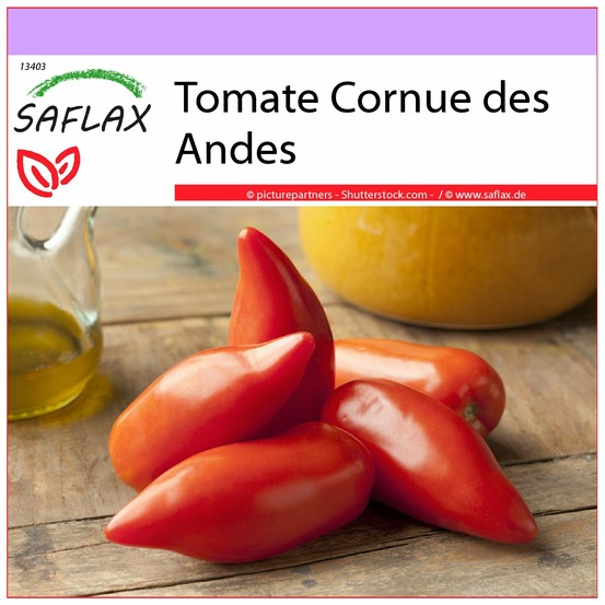 Tomate cornue des andes - 10 graines - lycopersicon esculentum