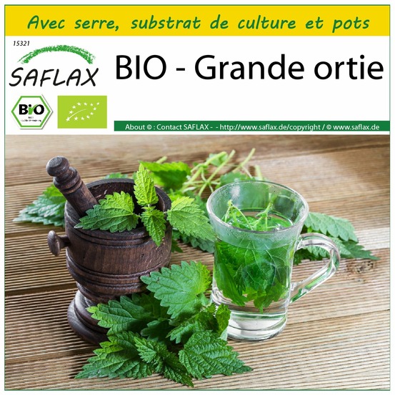 Ensemble de culture - bio - grande ortie - 2000 graines - urtica dioica