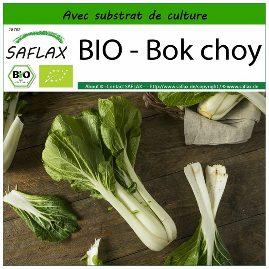 Bio - bok choy - 300 graines - avec substrat - brassica rapa supsp. Chinensis