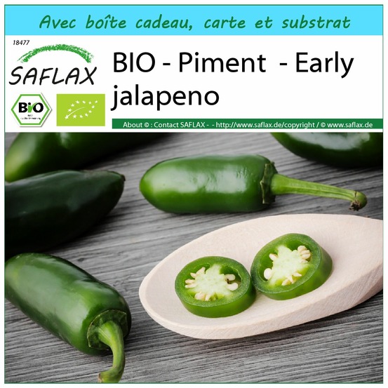 Ensemble-cadeau - bio - piment - early jalapeno - 20 graines - capsicum annuum
