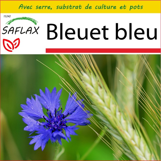 Ensemble de culture - bleuet bleu - 27000 graines - centaurea cyanus