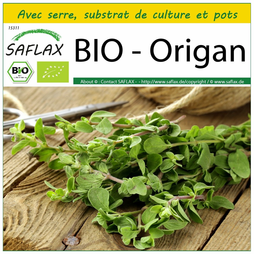 Ensemble de culture - bio - origan - 1500 graines - origanum heracleoticum