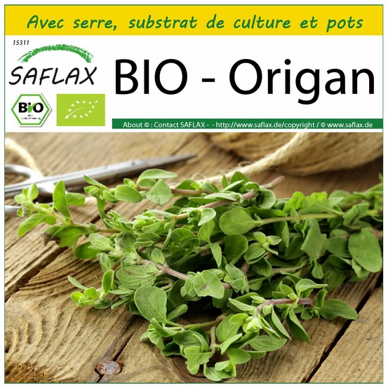Ensemble de culture - bio - origan - 1500 graines - origanum heracleoticum
