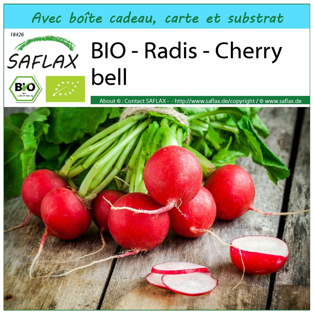 Ensemble-cadeau - bio - radis - cherry bell - 100 graines - raphanus sativus
