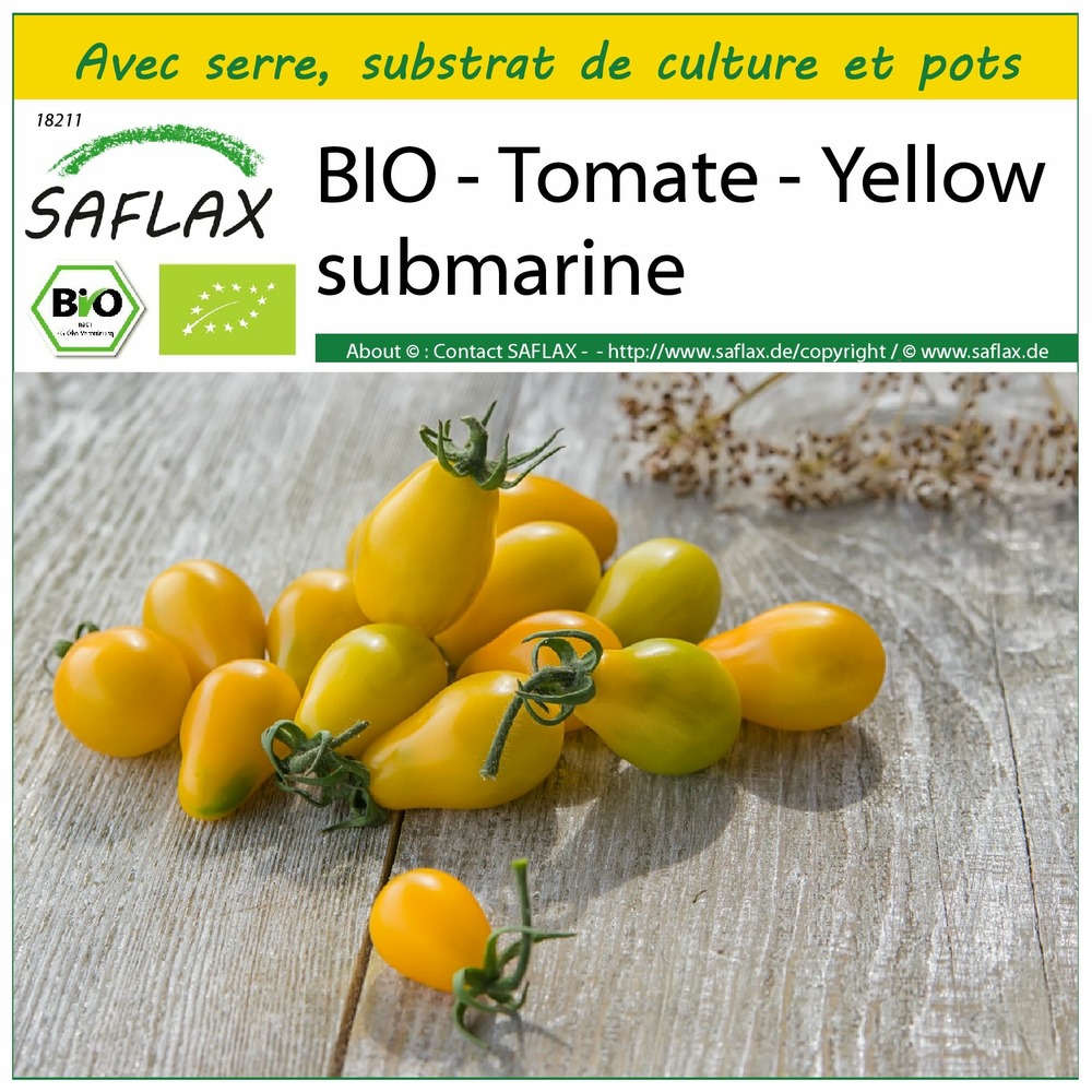 Ensemble de culture - bio - tomate - yellow submarine - 10 graines - solanum lycopersicum