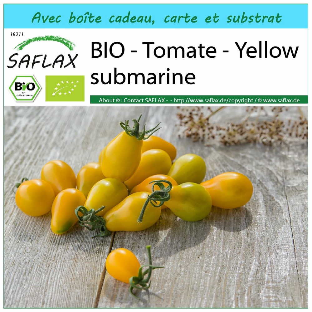 Ensemble-cadeau - bio - tomate - yellow submarine - 10 graines - solanum lycopersicum