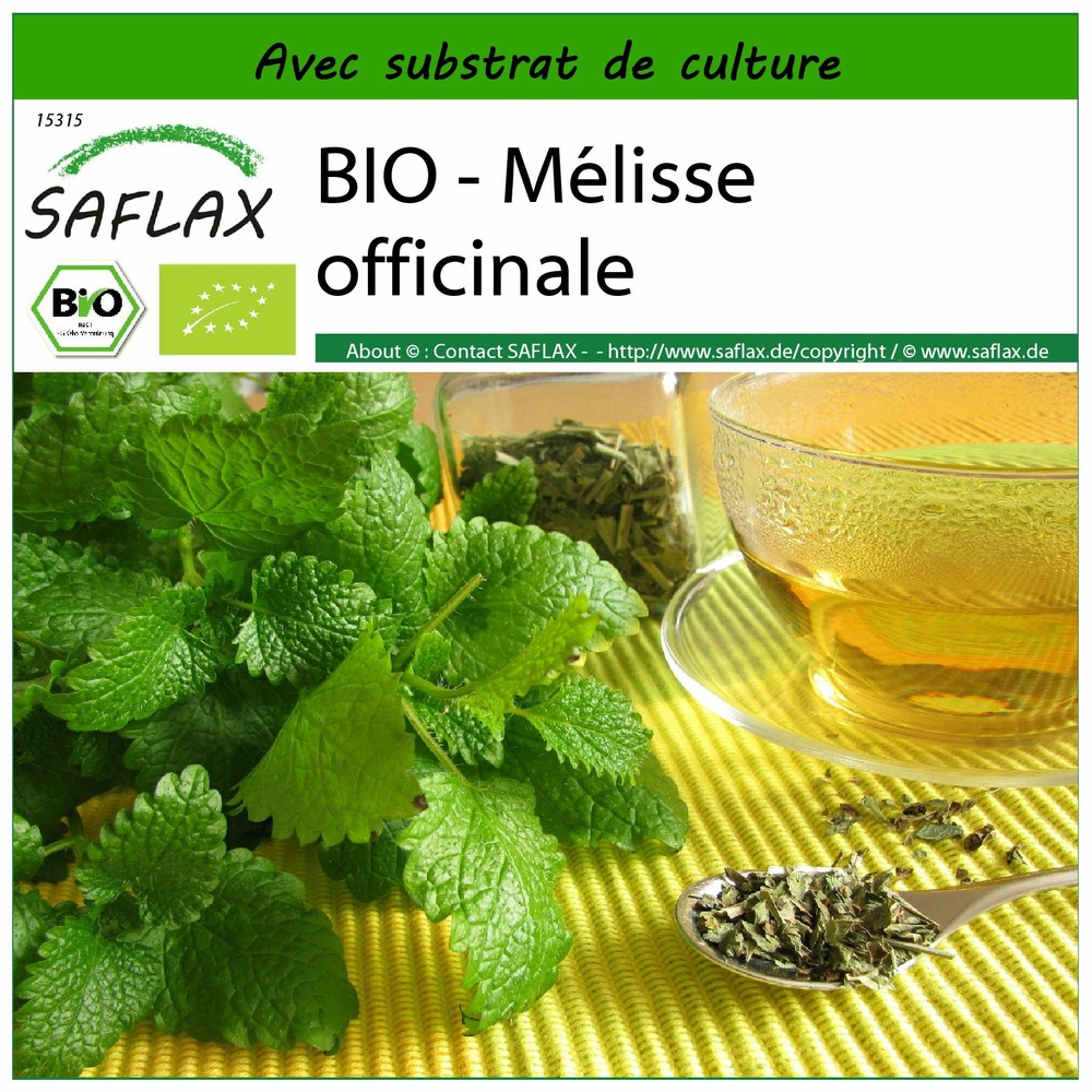 Bio - mélisse officinale - 1000 graines - avec substrat - melissa officinalis