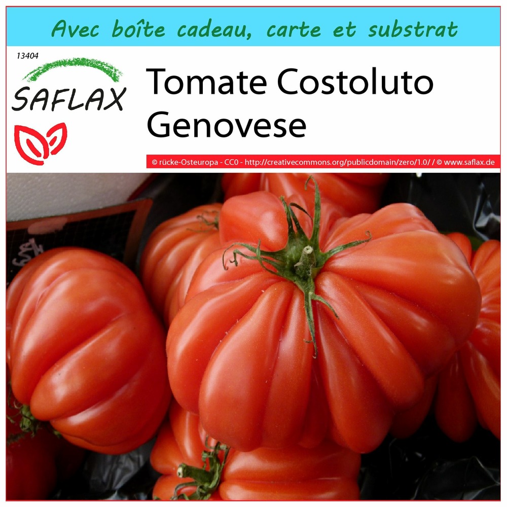 Ensemble-cadeau - tomate costoluto genovese - 10 graines - lycopersicon esculentum