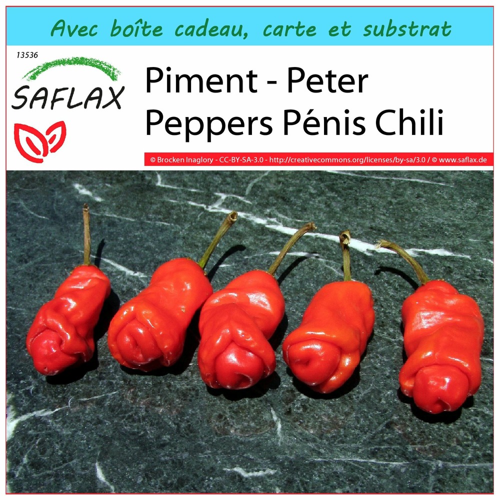 Ensemble-cadeau - piment - peter peppers pénis chili - 10 graines - capsicum annuum