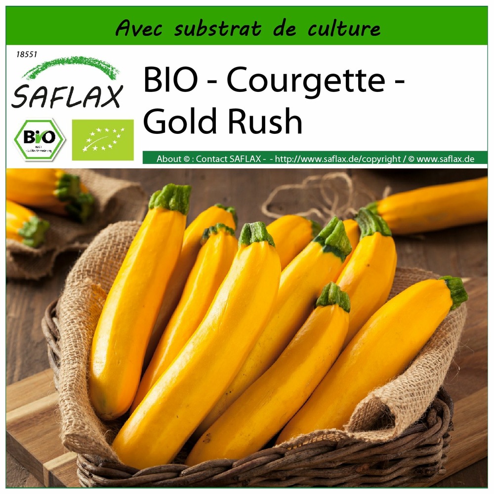 Bio - courgette - gold rush - 5 graines - avec substrat - cucurbita pepo var. Cylindrica