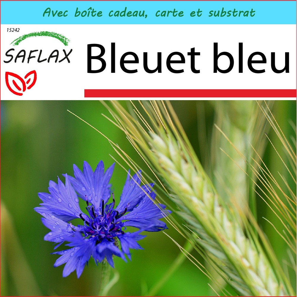 Ensemble-cadeau - bleuet bleu - 27000 graines - centaurea cyanus
