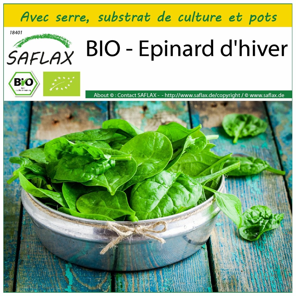 Ensemble de culture - bio - epinard d'hiver - 250 graines - spinacia oleracea