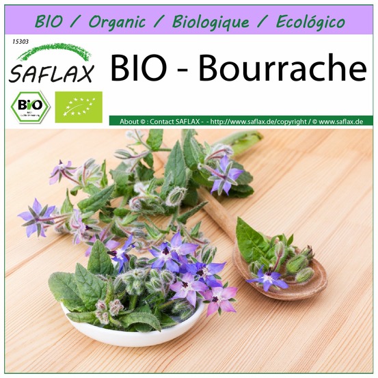 Bio - bourrache - 40 graines - borago officinalis