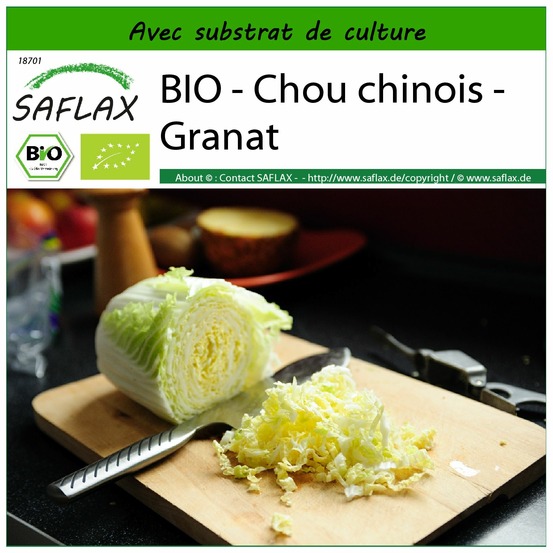 Bio - chou chinois - granat - 40 graines - avec substrat - brassica rapa ssp. Pekinensis