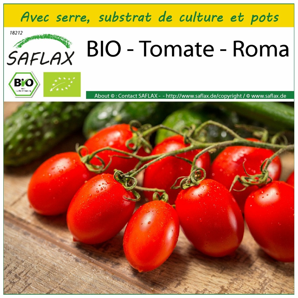 Ensemble de culture - bio - tomate - roma - 15 graines - solanum lycopersicum