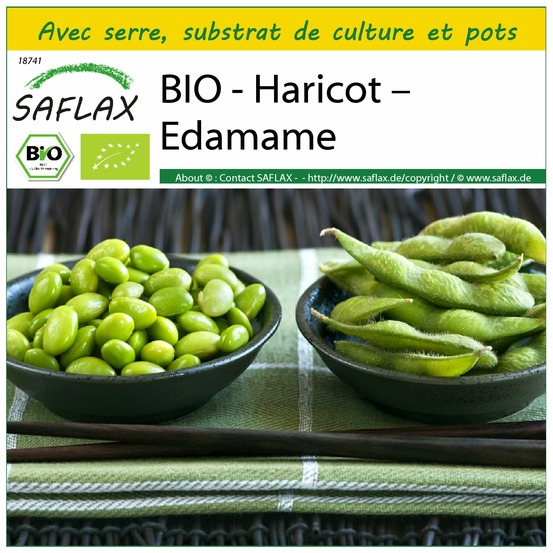 Ensemble de culture - bio - haricot – edamame - 8 graines - glycine max (l.) merr.