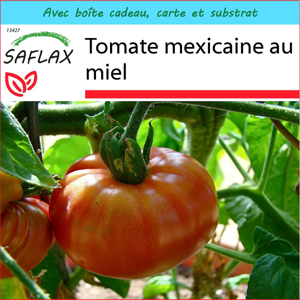 Ensemble-cadeau - tomate mexicaine au miel - 10 graines - lycopersicon esculentum