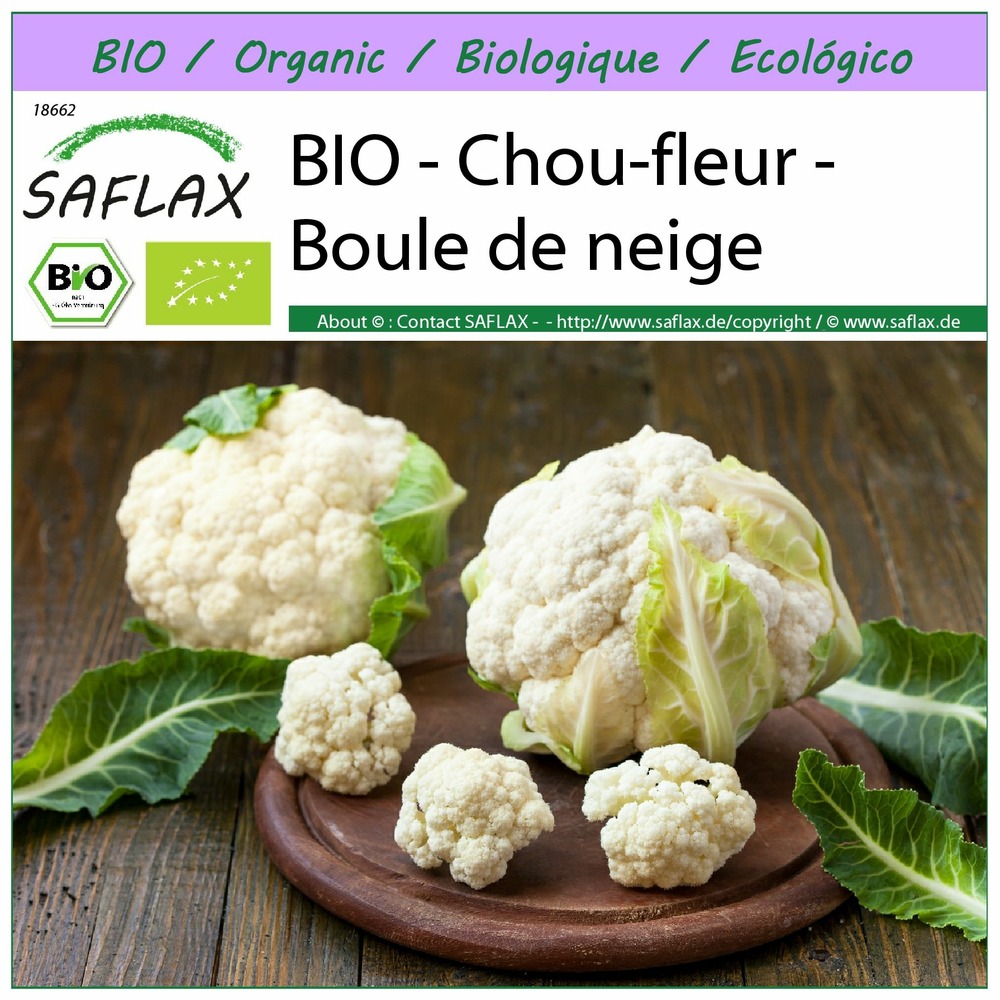 Bio - chou-fleur - boule de neige - 70 graines - brassica oleracea var. Botrytis