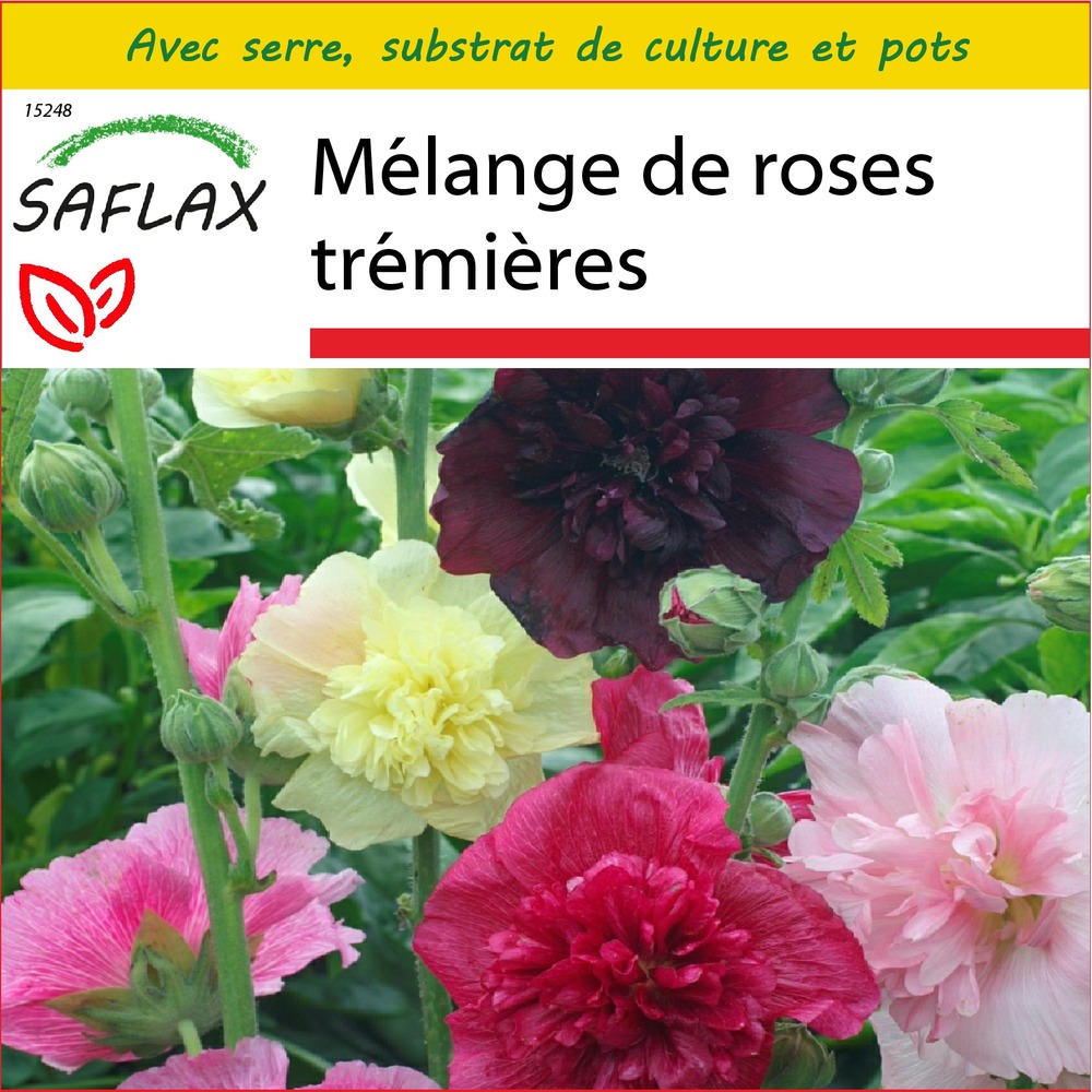 Ensemble de culture - mélange de roses trémières - 100 graines - alcea rosea