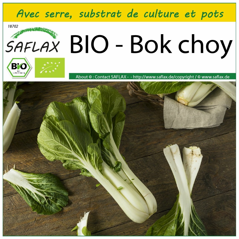 Ensemble de culture - bio - bok choy - 300 graines - brassica rapa supsp. Chinensis