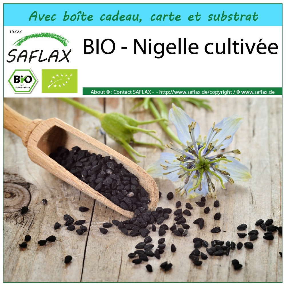 Ensemble-cadeau - bio - nigelle cultivée - 300 graines - nigella sativa