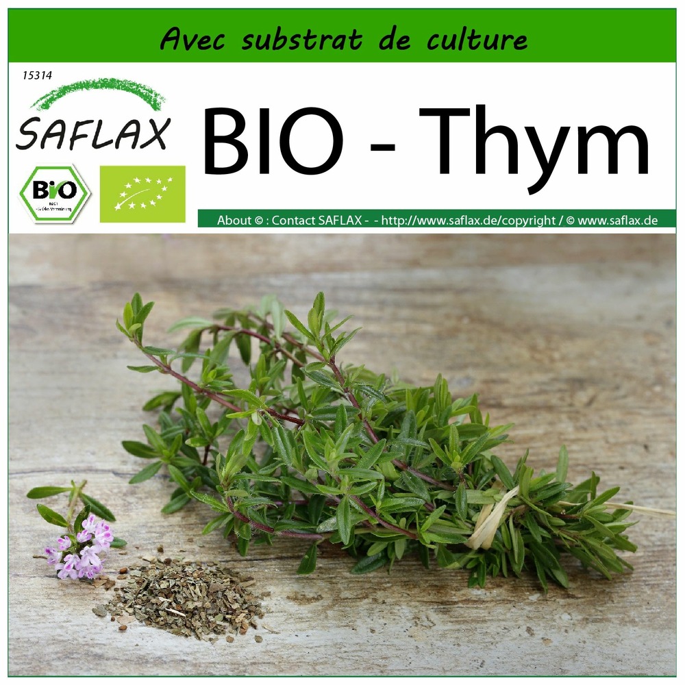 Bio - thym - 800 graines - avec substrat - thymus vulgaris