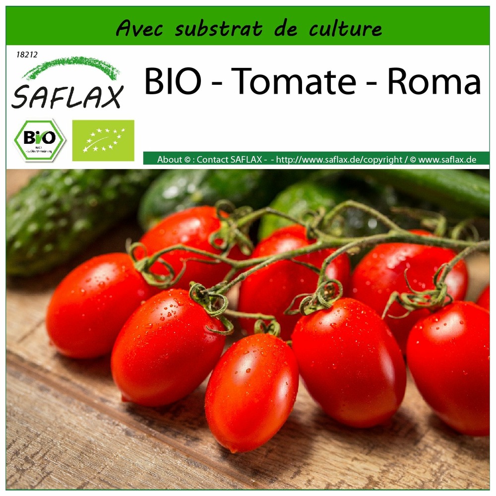 Bio - tomate - roma - 15 graines - avec substrat - solanum lycopersicum