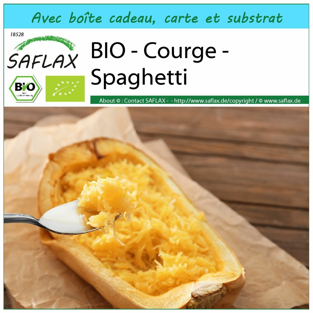 Ensemble-cadeau - bio - courge - spaghetti - 5 graines - cucurbita pepo