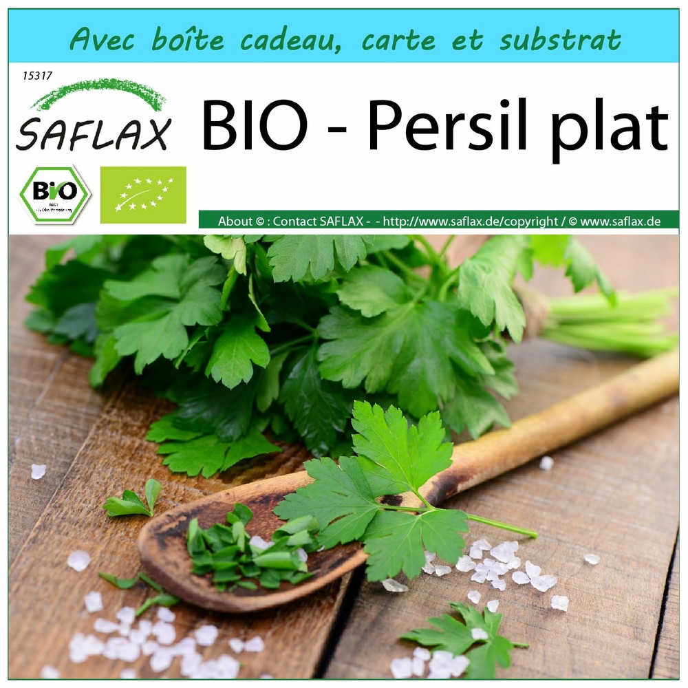 Ensemble-cadeau - bio - persil plat - 600 graines - petroselinum crispum