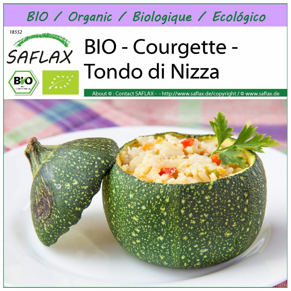 Bio - courgette - tondo di nizza - 5 graines - cucurbita pepo