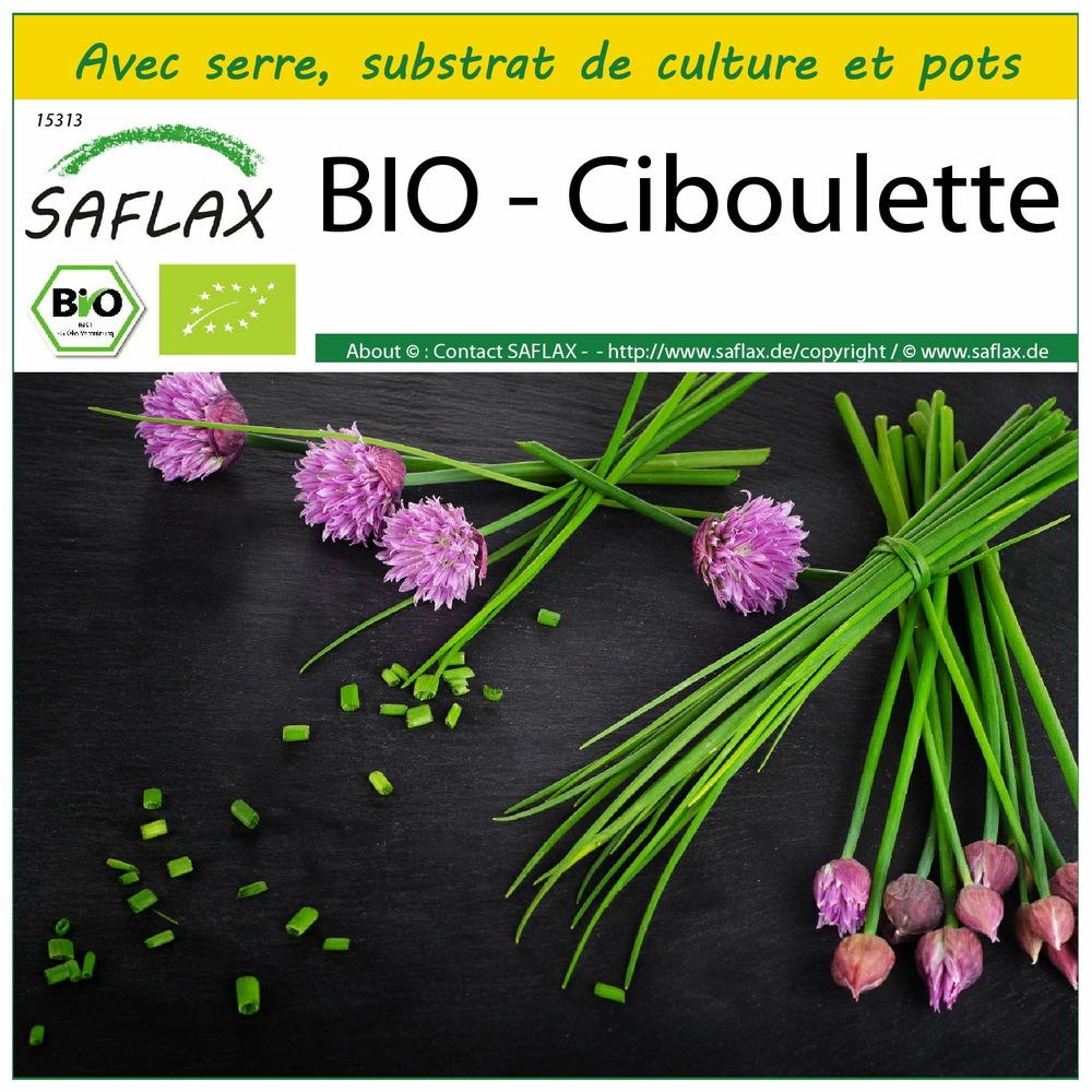 Ensemble de culture - bio - ciboulette - 250 graines - allium schoenoprasum