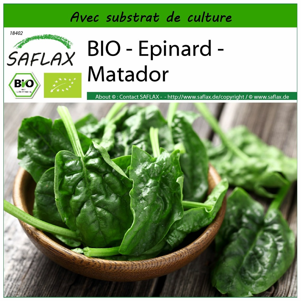 Bio - epinard - matador - 300 graines - avec substrat - spinacia oleracea
