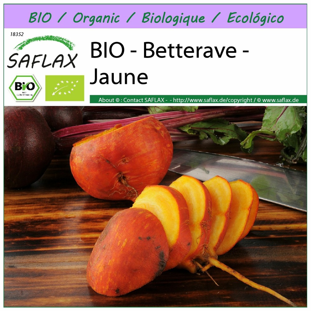 Bio - betterave - jaune - 50 graines - beta vulgaris