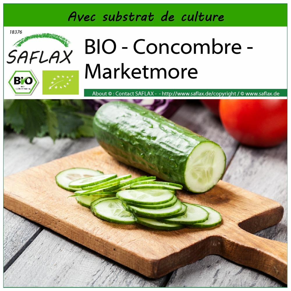 Bio - concombre - marketmore - 20 graines - avec substrat - cucumis sativus
