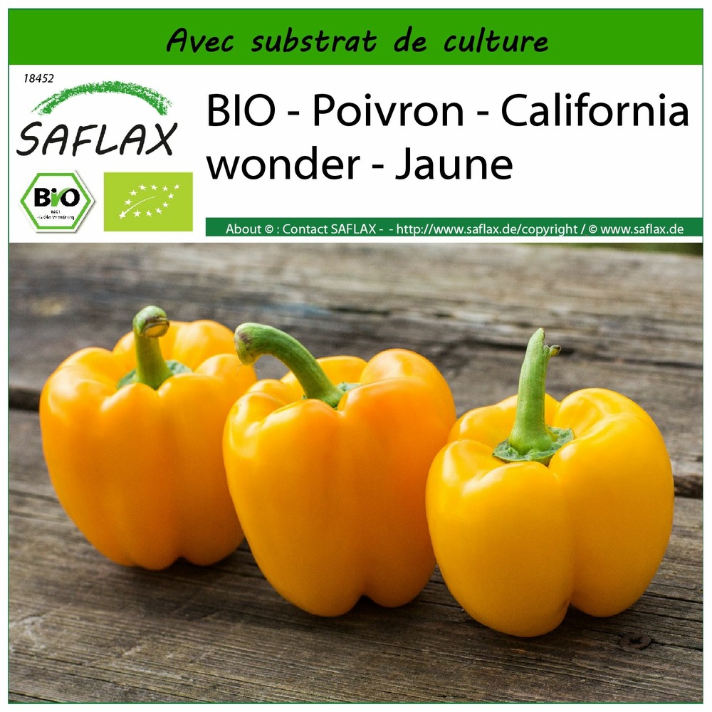 Bio - poivron - california wonder - jaune - 20 graines - avec substrat - capsicum annuum